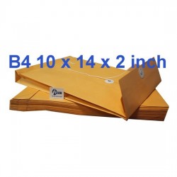 Envelope EXB4 Expandable 10X14X2 (10s)