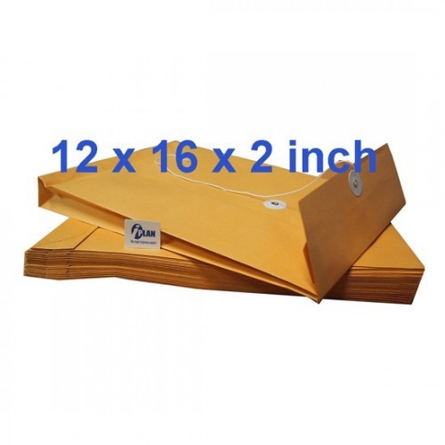 Envelope EX1216 Expandable 12X16X2 (10s)