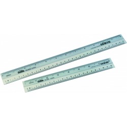 Plastic Ruler (S) 8inch