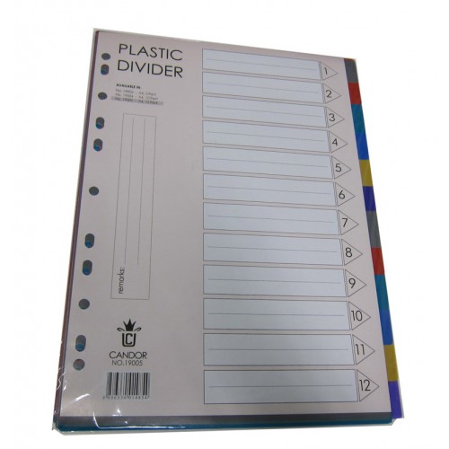 PP Plastic Colour Divider 12 tab PP Plastic Colour Divider 12 tab
