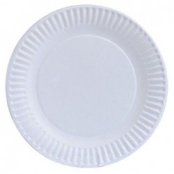 Paper Plate 7 inch (50s)