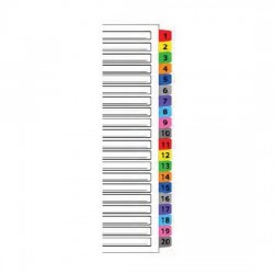 Mylar Colour Index Divider 1-20 (iFax)