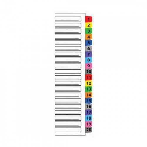 Mylar Colour Index Divider 1-20 (iFax)